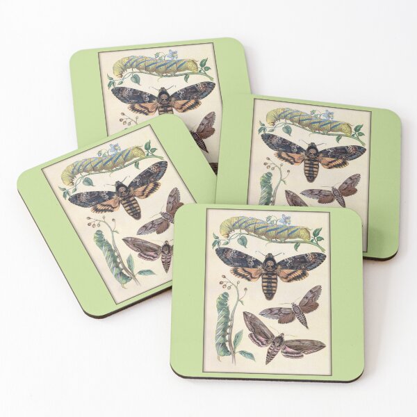 Item preview, Lepidopterological Print: Moths and Caterpillars designed and sold by Tridentulus.