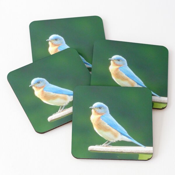 Item preview, Bluebird designed and sold by AmyBsPics.