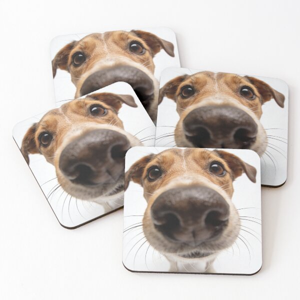 Item preview, Up-Close Jack Russell Terrier Nose Close-Up Cute Dog Portrait designed and sold by wangkyxing.