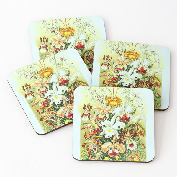 Item preview, REICHENBACHIA designed and sold by NightRaida.