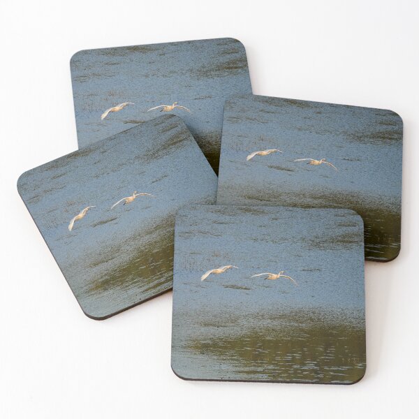 Item preview, Flying low. Whooper swan designed and sold by Jouko Lehto Photography.
