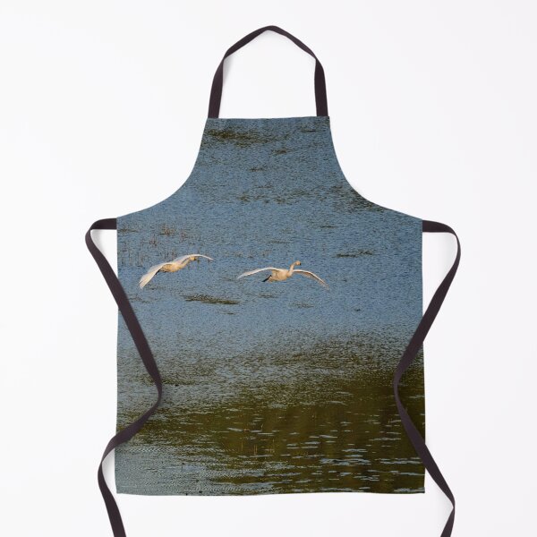 Item preview, Flying low. Whooper swan designed and sold by Jouko Lehto Photography.