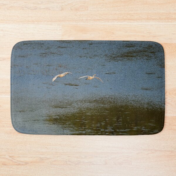 Item preview, Flying low. Whooper swan designed and sold by Jouko Lehto Photography.