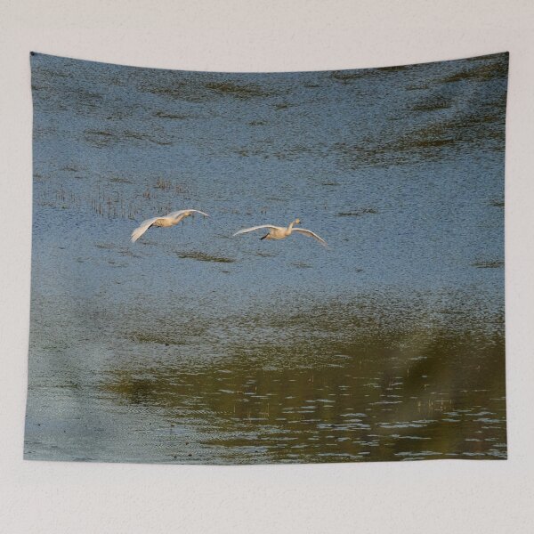 Item preview, Flying low. Whooper swan designed and sold by Jouko Lehto Photography.
