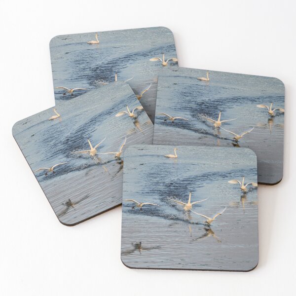 Item preview, Speed and noise. Whooper swan designed and sold by Jouko Lehto Photography.
