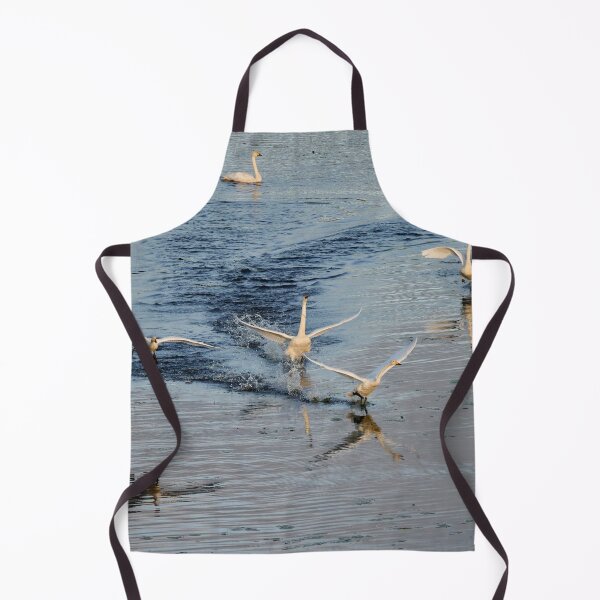 Item preview, Speed and noise. Whooper swan designed and sold by Jouko Lehto Photography.
