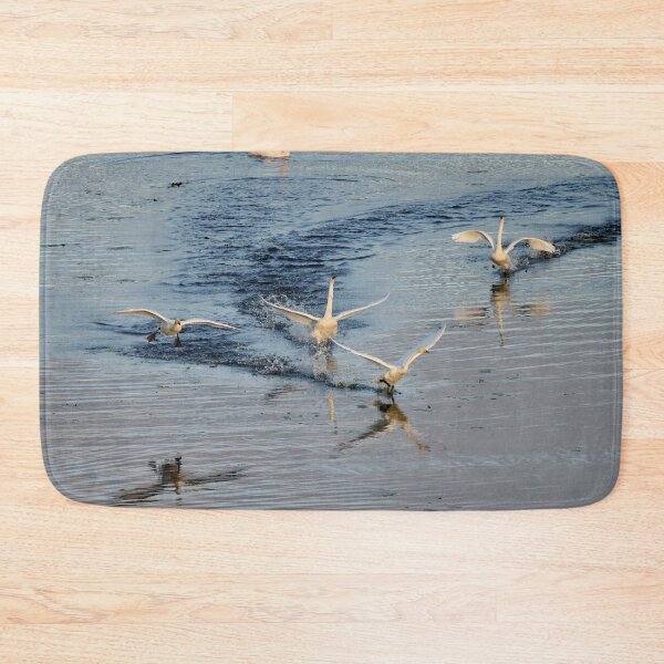 Item preview, Speed and noise. Whooper swan designed and sold by Jouko Lehto Photography.