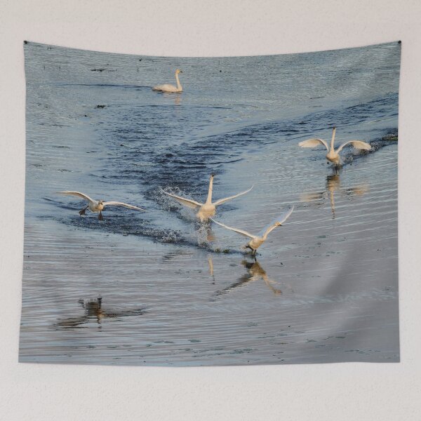 Item preview, Speed and noise. Whooper swan designed and sold by Jouko Lehto Photography.