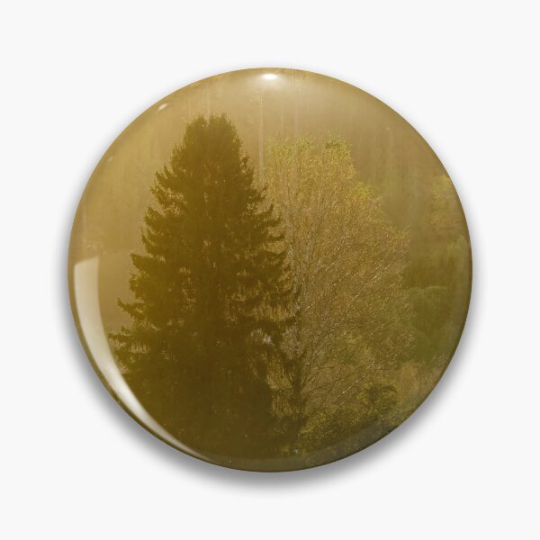 Item preview, Golden light forest. Fall 2025 designed and sold by Jouko Lehto Photography.