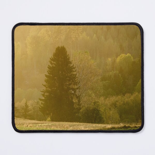 Item preview, Golden light forest. Fall 2025 designed and sold by Jouko Lehto Photography.