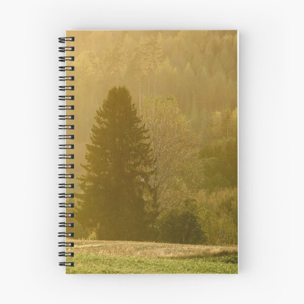 Item preview, Golden light forest. Fall 2025 designed and sold by Jouko Lehto Photography.