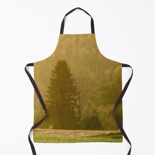 Item preview, Golden light forest. Fall 2025 designed and sold by Jouko Lehto Photography.