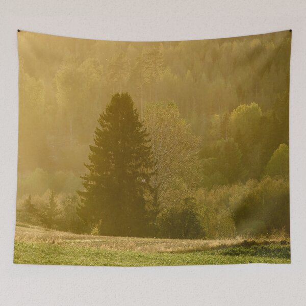 Item preview, Golden light forest. Fall 2025 designed and sold by Jouko Lehto Photography.