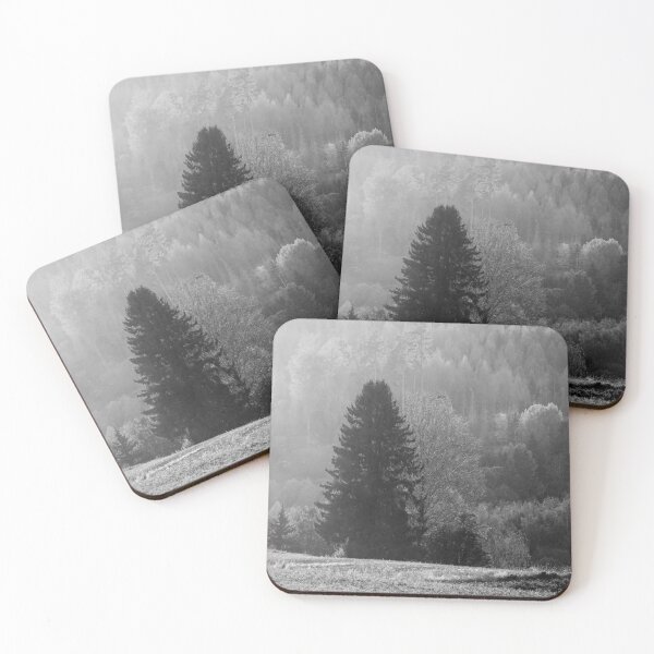 Item preview, Golden light forest. Fall 2025 bw designed and sold by Jouko Lehto Photography.