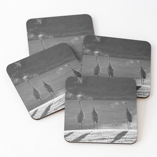 Item preview, Cranes in a Misty Morning designed and sold by MercerImages.
