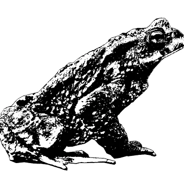 Artwork thumbnail, Toad by RalfkLang