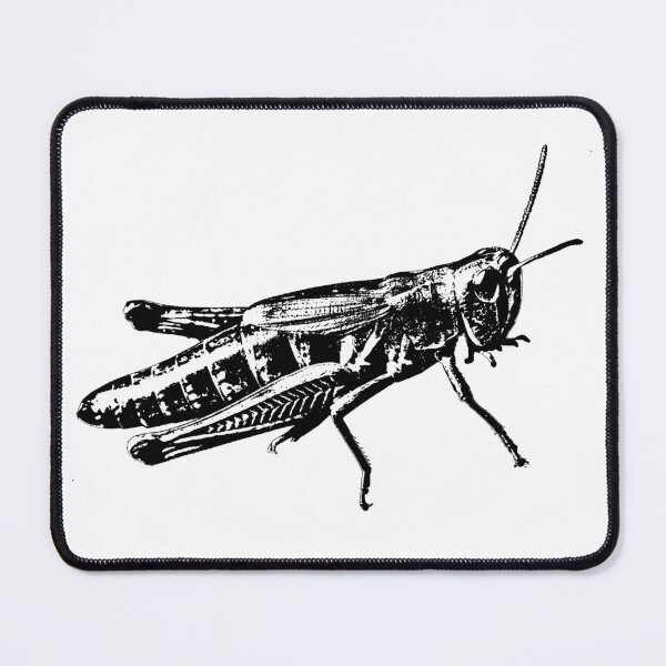 Item preview, Grasshopper designed and sold by RalfkLang.