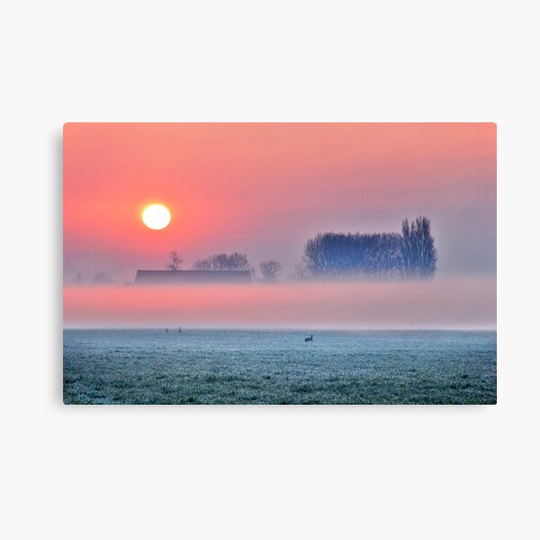 There he/she is........ Canvas Print