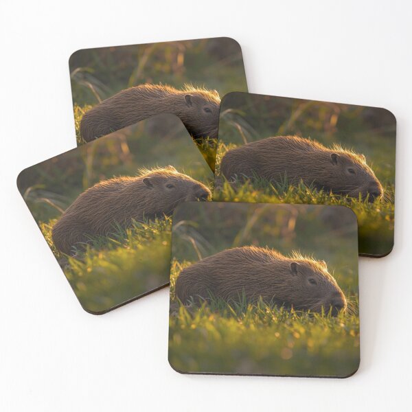 Item preview, A capybara relaxing in the morning sun on a lawn. designed and sold by NiceArtsPlace.