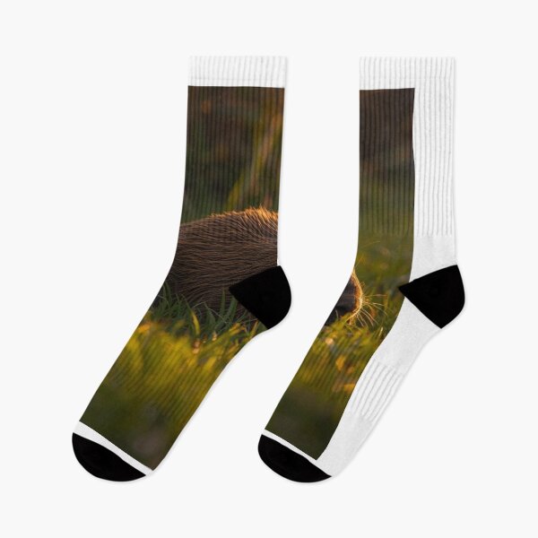 Item preview, A capybara relaxing in the morning sun on a lawn. designed and sold by NiceArtsPlace.
