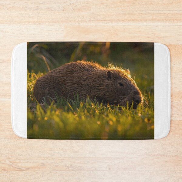 Item preview, A capybara relaxing in the morning sun on a lawn. designed and sold by NiceArtsPlace.