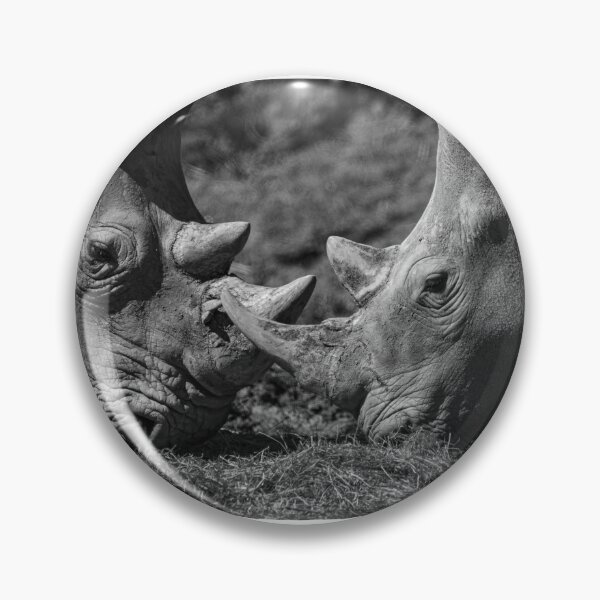 Item preview, Clashing Rhinos - Horns Crossed (Tamron 150-600 Telephoto Detail) designed and sold by DavidBuitragoCobo.