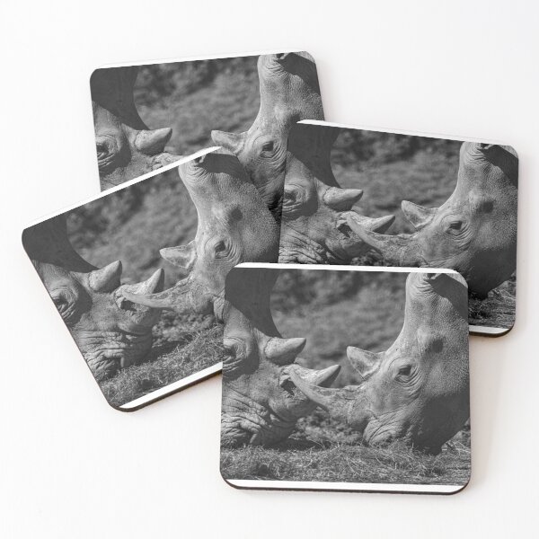 Item preview, Clashing Rhinos - Horns Crossed (Tamron 150-600 Telephoto Detail) designed and sold by DavidBuitragoCobo.