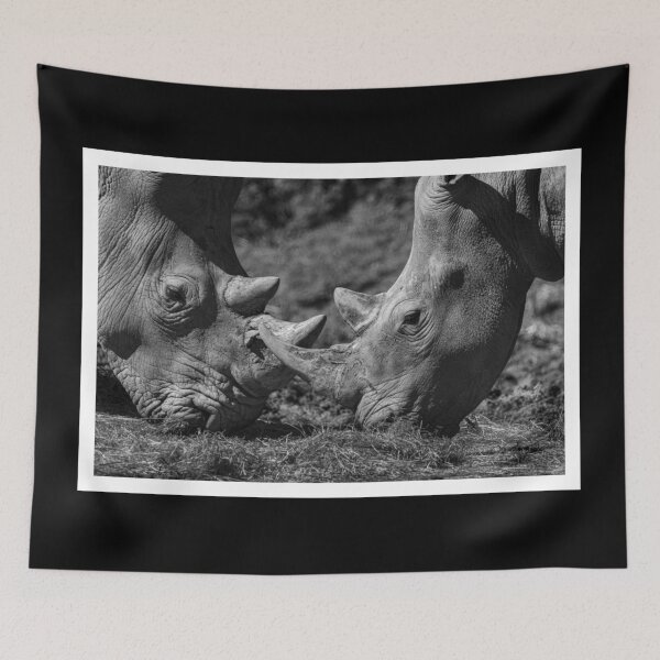 Item preview, Clashing Rhinos - Horns Crossed (Tamron 150-600 Telephoto Detail) designed and sold by DavidBuitragoCobo.