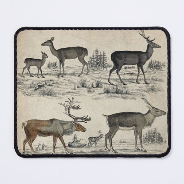 Item preview, Deer Elk And Moose designed and sold by BlueSpecsStudio.