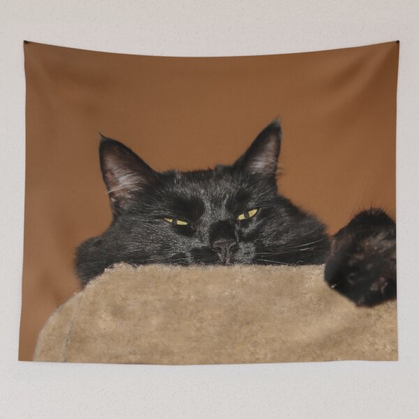 Item preview, Go Away, I Am Trying to Sleep!  designed and sold by heatherfriedman.