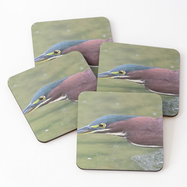Item preview, Green Heron  designed and sold by Glennphotos.