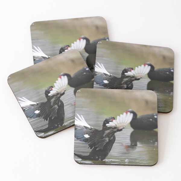 Item preview, Muscovy wings  designed and sold by Glennphotos.