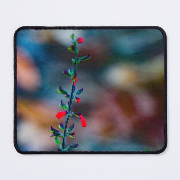 Item preview, Red flower in winter designed and sold by CrystalWithACanon .