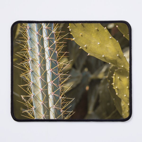 Item preview, Different types of cactuses designed and sold by CrystalWithACanon .