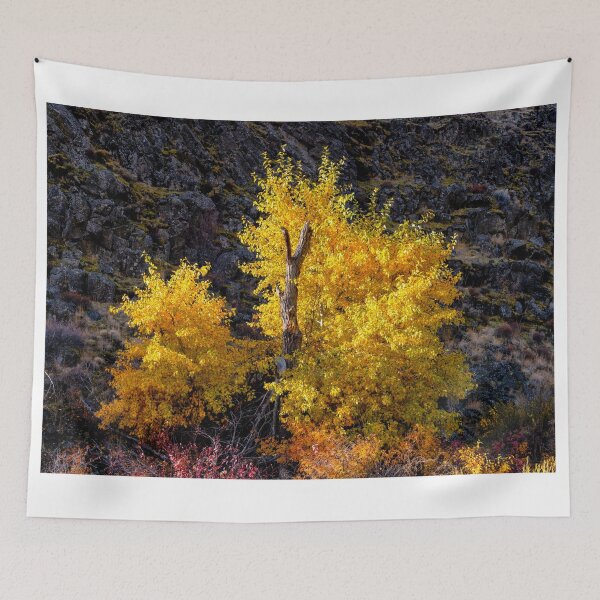 Item preview, Out of the Shadows designed and sold by DawsonImages.