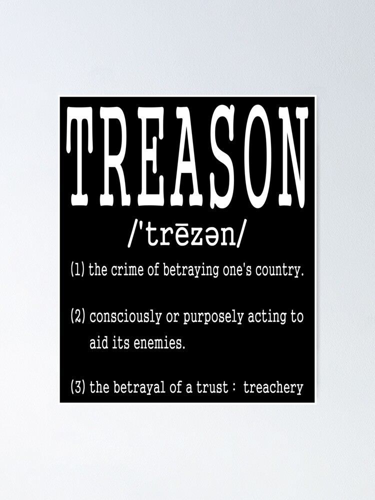 TRAITOR in 2023  Funny definition, Words, Traitor