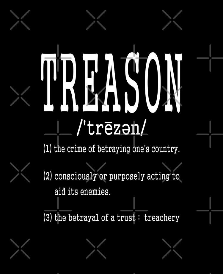 TRAITOR meaning, definition & pronunciation, What is TRAITOR?