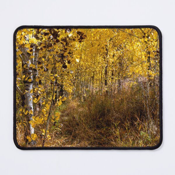 Item preview, Surrounded by Golden Leaves designed and sold by DawsonImages.