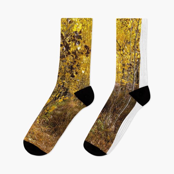 Item preview, Surrounded by Golden Leaves designed and sold by DawsonImages.