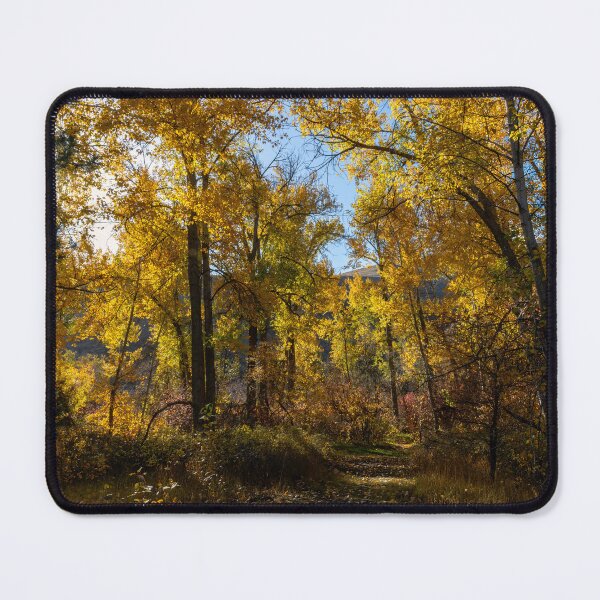 Item preview, Sunlight Gold designed and sold by DawsonImages.