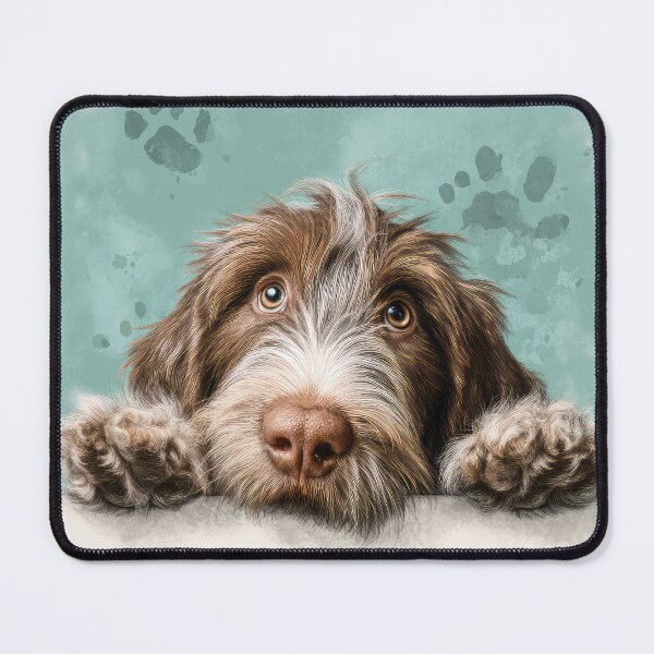 Item preview, Italian Spinone Peeking over Wall 01 designed and sold by Elisabeth Lucas.