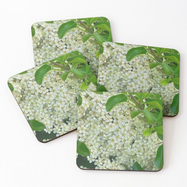 Item preview, Pequeños brotes designed and sold by Akanyss.