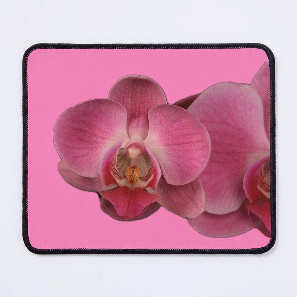 Item preview, ParisPoet Pink Orchid Large Multi-Flower Pink Background designed and sold by ParisPoet.