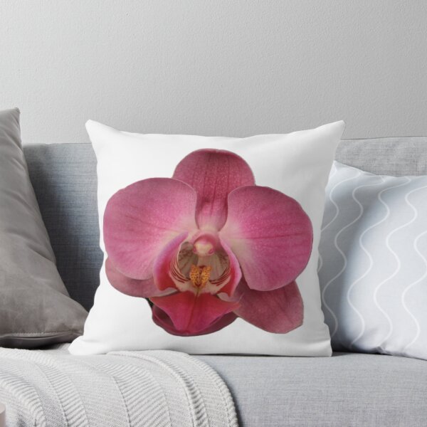 Item preview, ParisPoet Pink Orchid Large Single Flower White Background designed and sold by ParisPoet.