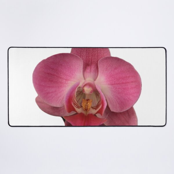 Item preview, ParisPoet Pink Orchid Large Single Flower White Background designed and sold by ParisPoet.