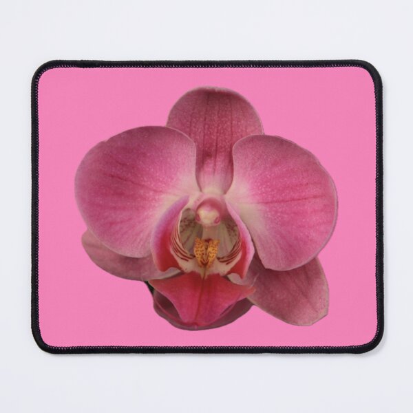 Item preview, ParisPoet Single Pink Medium Orchid Pink Background designed and sold by ParisPoet.