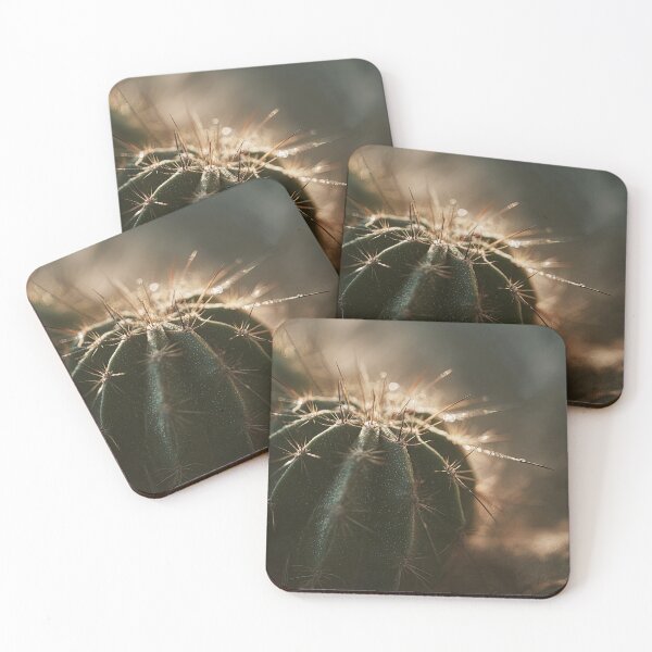 Item preview, Impresión artística de un cactus verde en primer plano: luz de la hora dorada y un efecto bokeh de ensueño. designed and sold by Pink & California.