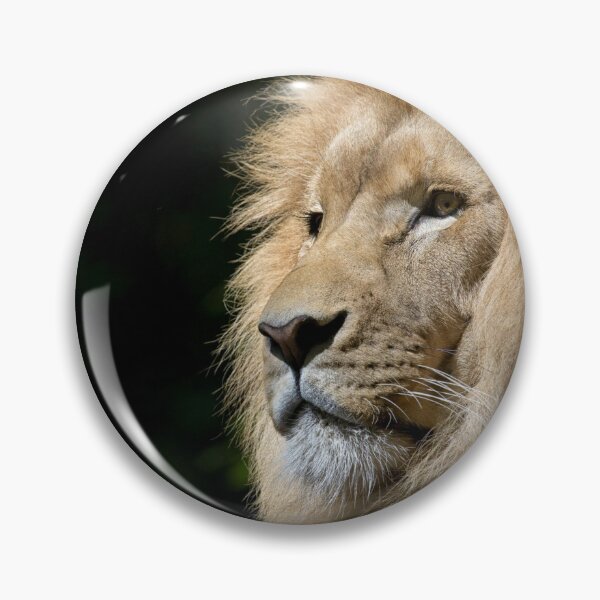Item preview, Close-up Photography of Brown Lion designed and sold by Ataqhin.