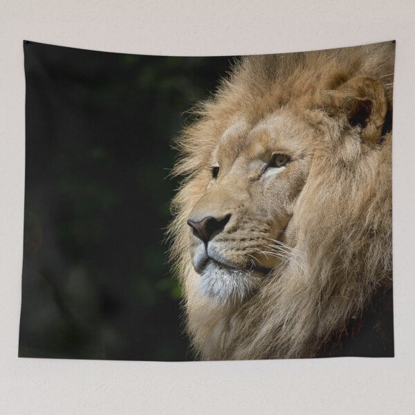 Item preview, Close-up Photography of Brown Lion designed and sold by Ataqhin.
