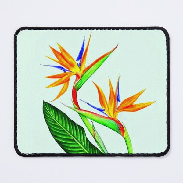 Item preview, Bird of Paradise Flower designed and sold by NightRaida.